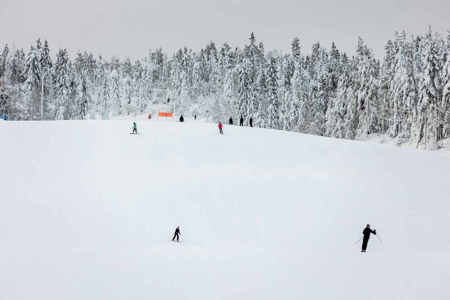 Sciatori e snowboarder scendono un pendio innevato con pini.